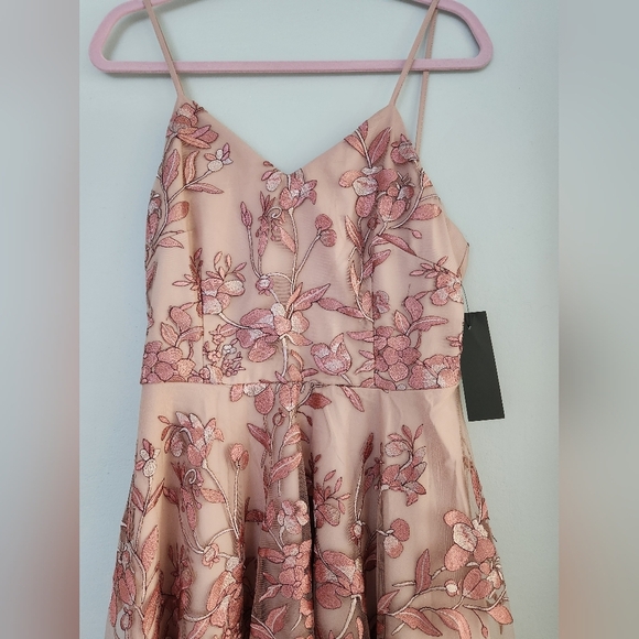 BNWT Two Sisters - Blondie Boutique Blush Pink Dress - Size 8 - Picture 11 of 13